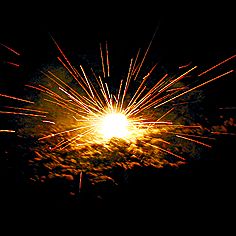 9672efd3-e17c-11ec-9cff-002590d43ce6_40567244-b4b1-11ef-b1b9-002590d43ce6